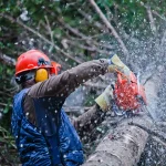 imagen trabajador podando