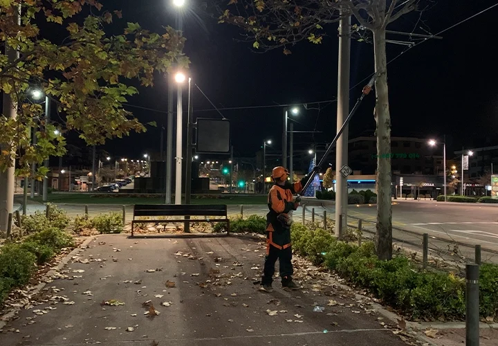 Poda nocturna, trabajador